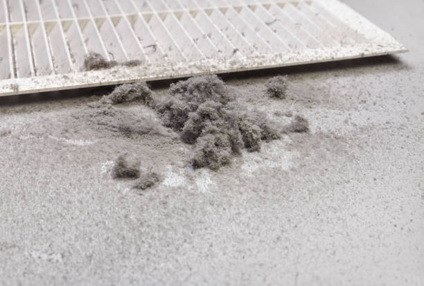 Best Affordable Air Duct Cleaning  in Evans, GA