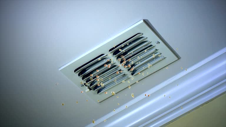Emergency Air Duct Cleaning in GA