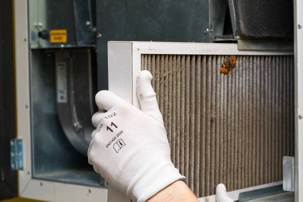 Best Dryer Vent Cleaning Services  in Evans, GA