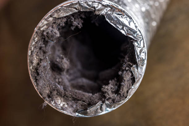 Best Ductwork Cleaning Services  in Evans, GA